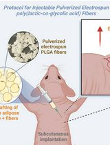 A Protocol for co-Injecting Cells with Pulverized Fibers for Improved Cell Survival and Engraftment