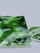 藻胶嵌入蓝藻运输（SCAGE）——一种简单可靠的蓝藻递送新方法