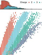 Muscle Biopsy Sample Preparation and Proteomics Analysis Based on UHPLC-MS/MS