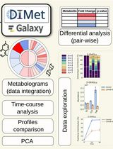Using DIMet for Differential Analysis of Labeled Metabolomics Data: A Step-by-step Guide Showcasing the Glioblastoma Metabolism