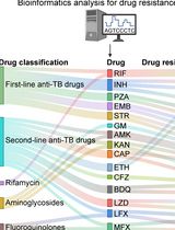 Identification of Mycobacterium tuberculosis and its Drug Resistance by Targeted Nanopore Sequencing Technology