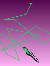 利用微流控设备定量测量细菌在受控和静止化学梯度中的趋化性