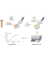 <em>Campylobacter jejuni</em> Biofilm Assessment by NanoLuc Luciferase Assay
