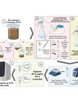 Novel Workflows for Separate Isolation of Pathogen RNA or DNA From Wastewater: Detection by Innovative and Conventional qPCR