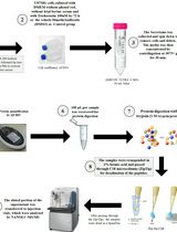 Profiling the Secretome of Glioblastoma Cells Under Histone Deacetylase Inhibition Using Mass Spectrometry