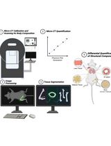 A Micro-Computed Tomography-Based Simplified Approach to Measure Body Composition, Osteoporosis, and Lung Fibrosis in Mice