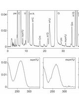 HPLC Analysis of tRNA‐Derived Nucleosides