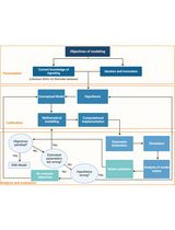 Computational Cellular Mathematical Model Aids Understanding the cGAS-STING in NSCLC Pathogenicity