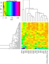Annotated Bioinformatic Pipelines for Phylogenomic Placement of Mitochondrial Genomes