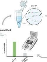 A Highly Sensitive and Selective DAMP Assay for the Detection of Bacterial Pathogens Associated With Brain Inflammation