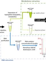 Integrated Co-extraction Protocol for Transcriptomic and 1H NMR Metabolomic Analysis of Multi-species Biofilms