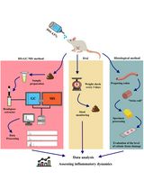 HS–GC–MS Method for the Diagnosis of IBD Dynamics in a Model of DSS-Induced Colitis