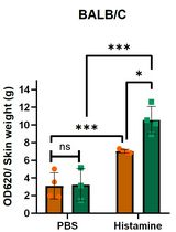 改良版Miles法分析血管通透性