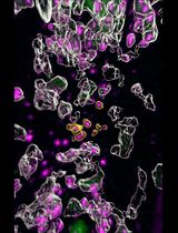 Single Molecule Fluorescence In Situ Hybridization Using RNAscope to Study Hematopoietic and Vascular Interactions in the Zebrafish Embryo and Larva