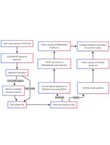 A Comprehensive Protocol for Bayesian Phylogenetic Analysis Using MrBayes: From Sequence Alignment to Model Selection and Phylogenetic Inference