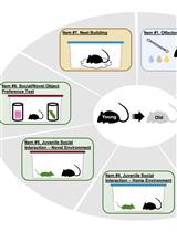 The Mouse Social Frailty Index (mSFI): A Standardized Protocol