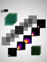 Development of a Novel Automated Workflow in Fiji ImageJ for Batch Analysis of Confocal Imaging Data to Quantify Protein Colocalization Using Manders Coefficient
