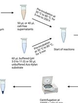 Endo-1,4-&beta;-D-xylanase Assay Using Azo-Xylan and Variants Thereof