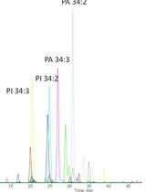 A New Approach to Detect and Semi-quantify All Molecular Species and Classes of Anionic Phospholipids Simultaneously in Plant Samples