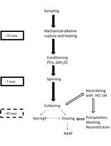 Scalable Alkaline Extraction Protocol for Microbial DNA Screening by PCR