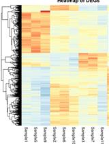 A Guide to Basic RNA Sequencing Data Processing and Transcriptomic Analysis