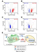 Applying LFQRatio Normalization in Quantitative Proteomic Analysis of Microbial Co-culture Systems