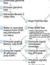 ChIP-seq Data Processing and Relative and Quantitative Signal Normalization for <em>Saccharomyces cerevisiae</em>