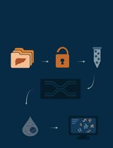 snPATHO-seq:基于FFPE样本的单核转录组测序详细方法