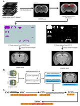 Reconstruction of Single-Neuron Projectomes in Mice