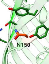 Correction Notice: Tetrazine Amino Acid Encoding for Rapid and Complete Protein Bioconjugation