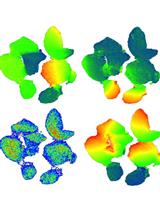 Standardized Flow Cytometry Method for Absolute Counting of Intraepithelial Lymphocytes in the Intestinal Mucosa Using TruCountTM Beads