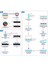 基于PEGDA的微图案化底物构建及其在组织工程中表面形貌与细胞响应关系研究中的应用