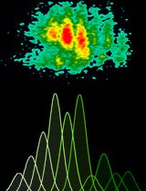 使用康可藻红素刺激冷冻保存的猪外周单个核细胞进行增殖检测,并结合FCS ExpressTM 7.18软件分析