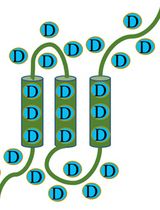 Protein Structural Characterization Using Electron Transfer Dissociation and Hydrogen Exchange-Mass Spectrometry