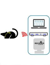 Surgical Implantation of a Telemetry-Based Pressure Sensor in the Internal Jugular Vein to Monitor Respiration Wirelessly