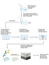 用于Poly(A)纯化mRNA中N6-甲基腺苷定量的改良型m6A-ELISA方法