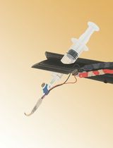 An Optimized Ex Vivo Protocol for Quantitative Electrophysiological Assessment of Neuromuscular Junctions and Skeletal Muscle Function Using the Aurora System