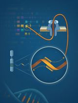RACE-Nano-Seq:解析基因组特定位点的转录组多样性