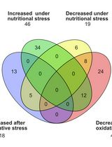 Untargeted Metabolomics of Epimastigote Forms of Trypanosoma cruzi