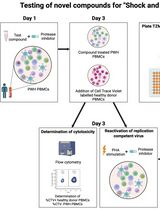 Inducible HIV-1 Reservoir Reduction Assay (HIVRRA), a Fast and Sensitive Assay to Test Cytotoxicity and Potency of Cure Strategies to Reduce the Replication-Competent HIV-1 Reservoir in Ex Vivo PBMCs
