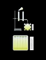 Evaluating Arabidopsis Primary Root Growth in Response to Osmotic Stress Using an In Vitro Osmotic Gradient Experimental System