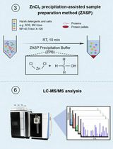 ZnCl2 Precipitation-Assisted Sample Preparation for Proteomic Analysis