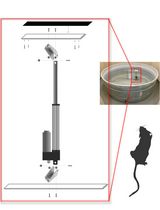 Constructing and Implementing a Low-Cost On-Demand Morris Water Maze Platform