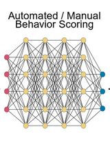 A Protocol to Assess Time-of-Day-Dependent Learning and Memory in Mice Using the Novel Object Recognition Test