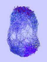 A Protocol for Weighted Gene Co-expression Network Analysis With Module Preservation and Functional Enrichment Analysis for Tumor and Normal Transcriptomic Data