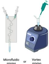 Preparation and Characterization of Lipid Nanoparticles Co-loaded With DNA and Nitro-Oleic Acid