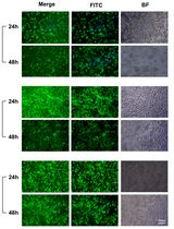 Cost-Effective and Reproducible Preparation of mRNA-Loaded Lipid Nanoparticles Using a Conventional Laboratory-Scale Microfluidic Assembly System