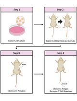 Combining Microwave Ablation With CAR-T-Cell Therapy in Tumor-Bearing Mouse Models