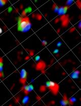 利用 RudLOV 研究细胞内物质运输