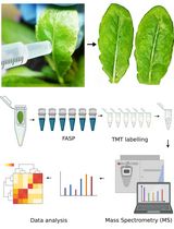 基于 TMT 的质谱技术对拟南芥叶片分泌蛋白组的定量分析